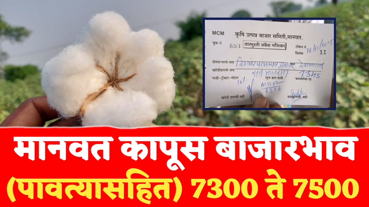 मानवत मधील आजचे