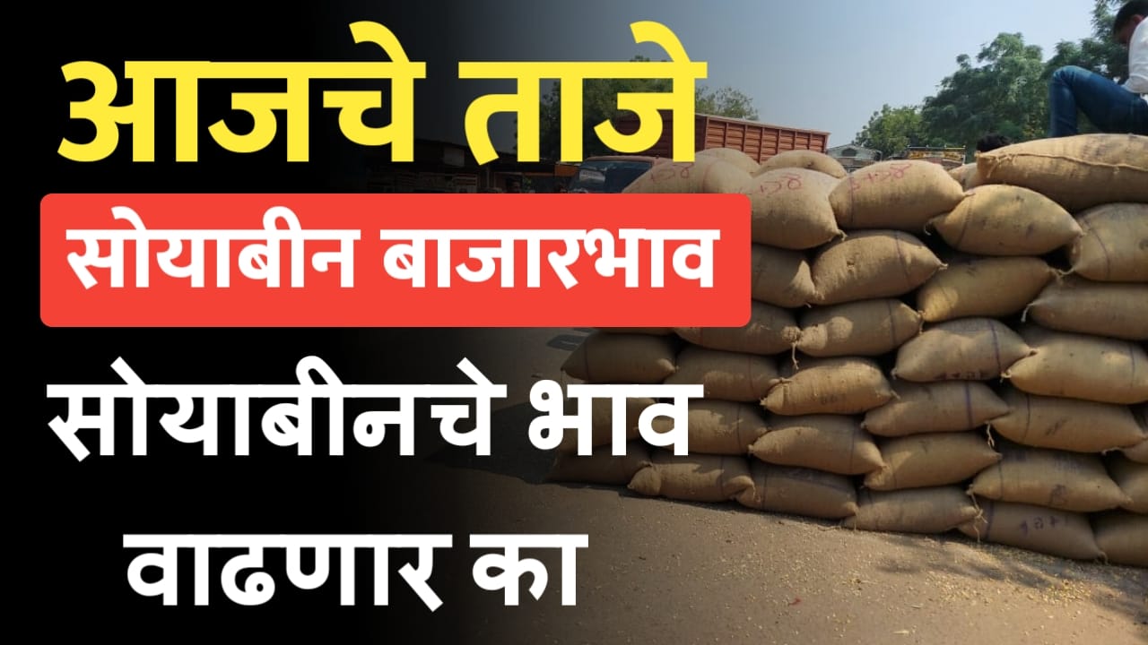 सोयाबीन भाव मोठी वाढ