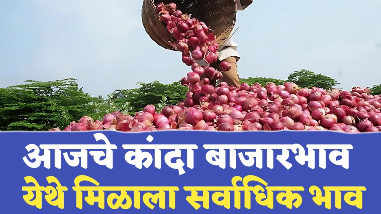कांदा बाजारात तेजीचा