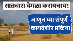 Satbara Utara : सातबारा उतारा वेगळा करायचाय, जाणून घ्या संपूर्ण कायदेशीर प्रक्रिया