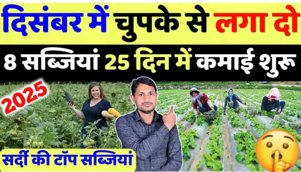 दिसंबर मे लगायें ये