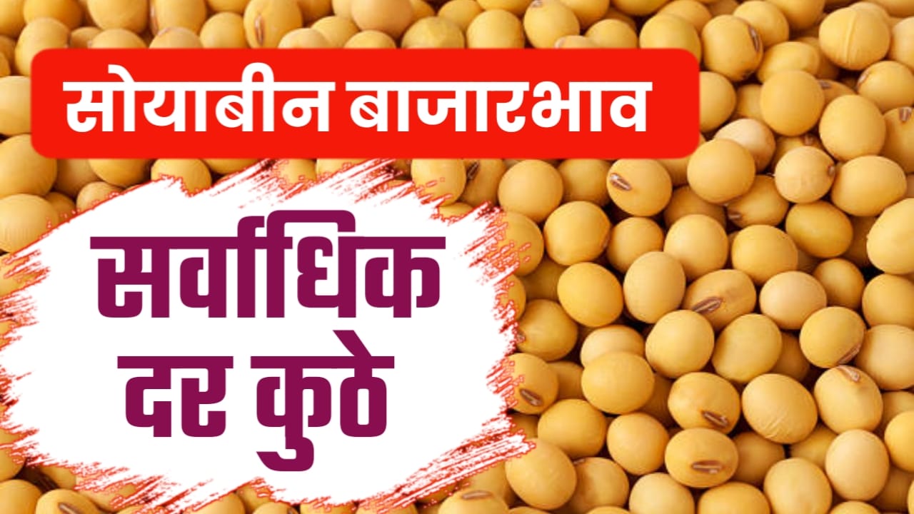 रेशन धान्य वितरण